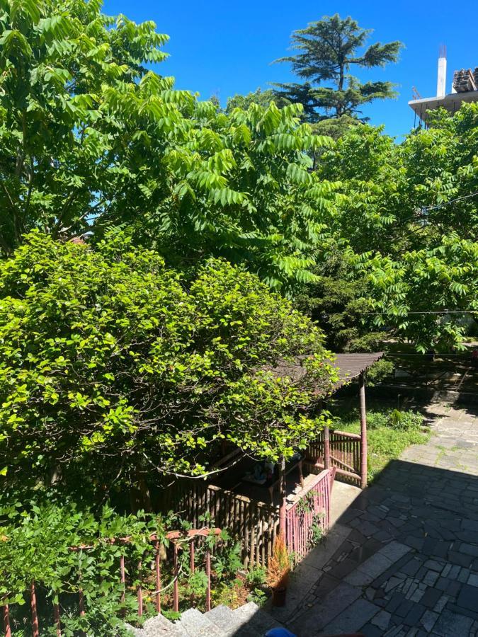3-bedroom And 1-bedroom In Apartment Kobuleti