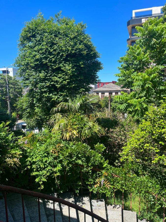 3-bedroom And 1-bedroom In Apartment *